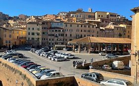 Salicotto 56